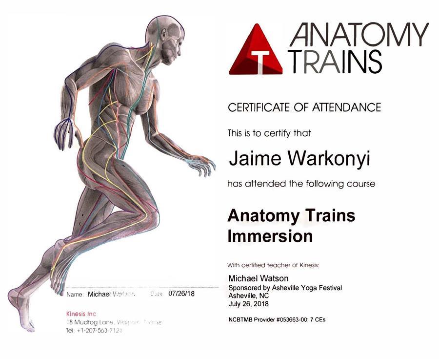 Anatomy Trains Immersion 7hr CE 2018 AYF .png
